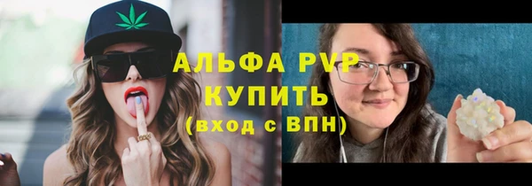 эйфоретик Няндома