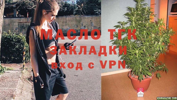 эйфоретик Няндома