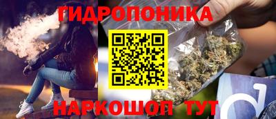 ГАЛЛЮЦИНОГЕННЫЕ ГРИБЫ Гатчина