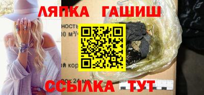 стаф Дубна