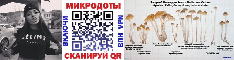 Псилоцибиновые грибы GOLDEN TEACHER  купить наркоту  Сибай 