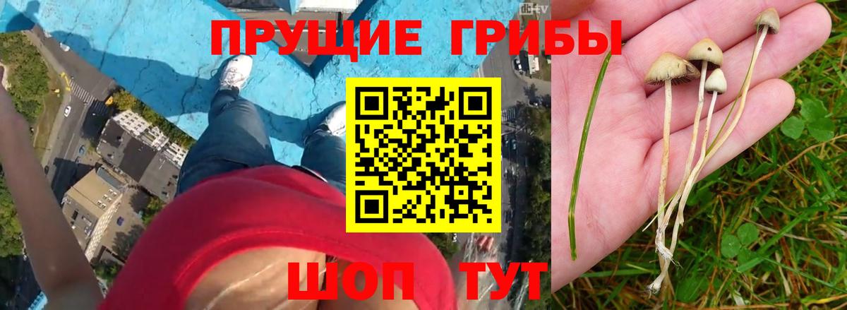 Галлюциногенные грибы ЛСД Сибай