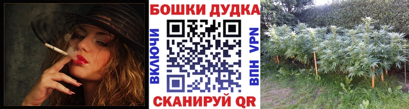 Бошки марихуана Amnesia  купить  сайты  Сибай 
